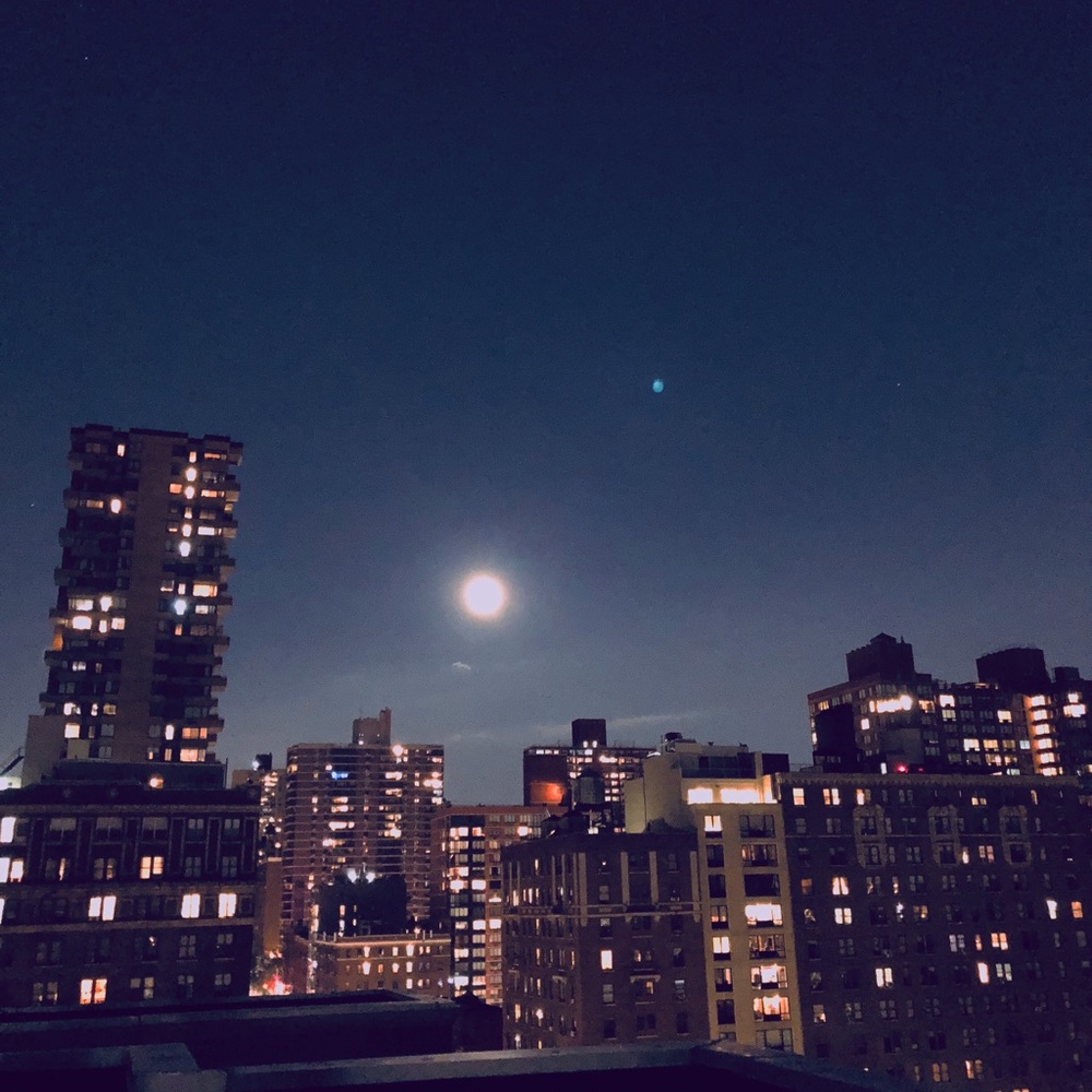 Meet Your Posher 🦒